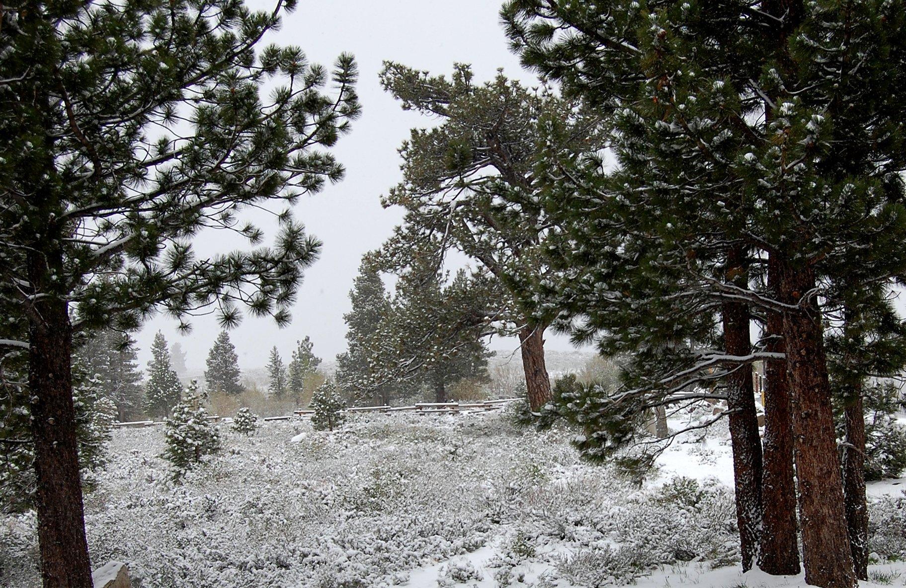 The Mammoth Creek Inn Mammoth Lakes Eksteriør billede