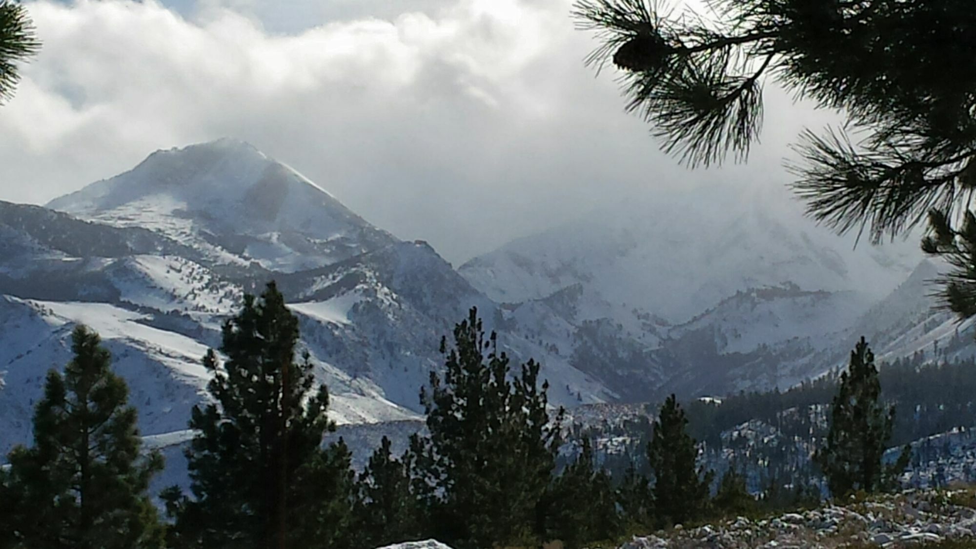 The Mammoth Creek Inn Mammoth Lakes Eksteriør billede